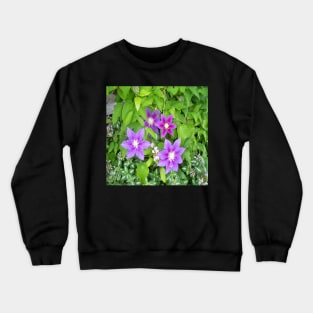 Clematis Crewneck Sweatshirt